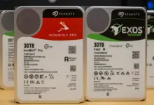 seagate Exos M IronWolf Pro 30 to