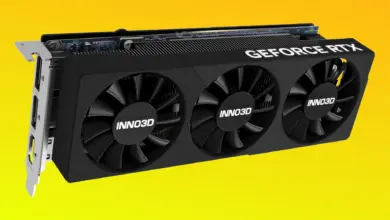 Carte graphique Inno3D GeForce RTX 5060 low profile demi-hauteur avec trois ventilateurs et bracket court, vue de face sur fo
