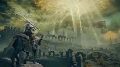 Elden Ring Tarnished Edition retardé sur Switch 2 : performances encore en cause 24 Elden Ring Tarnished Edition retardé sur Switch 2: problèmes de performances, optimisation CPU/GPU, fréquences et mémoire