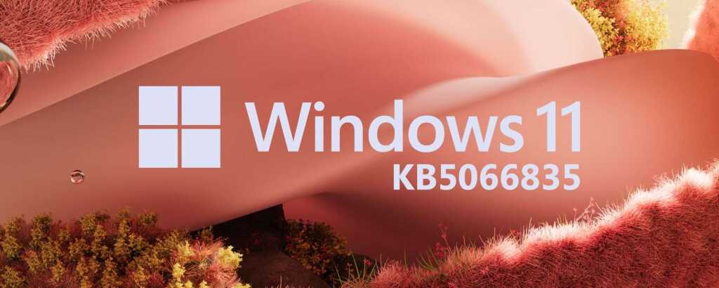 windows 11 25h2 kb5066835