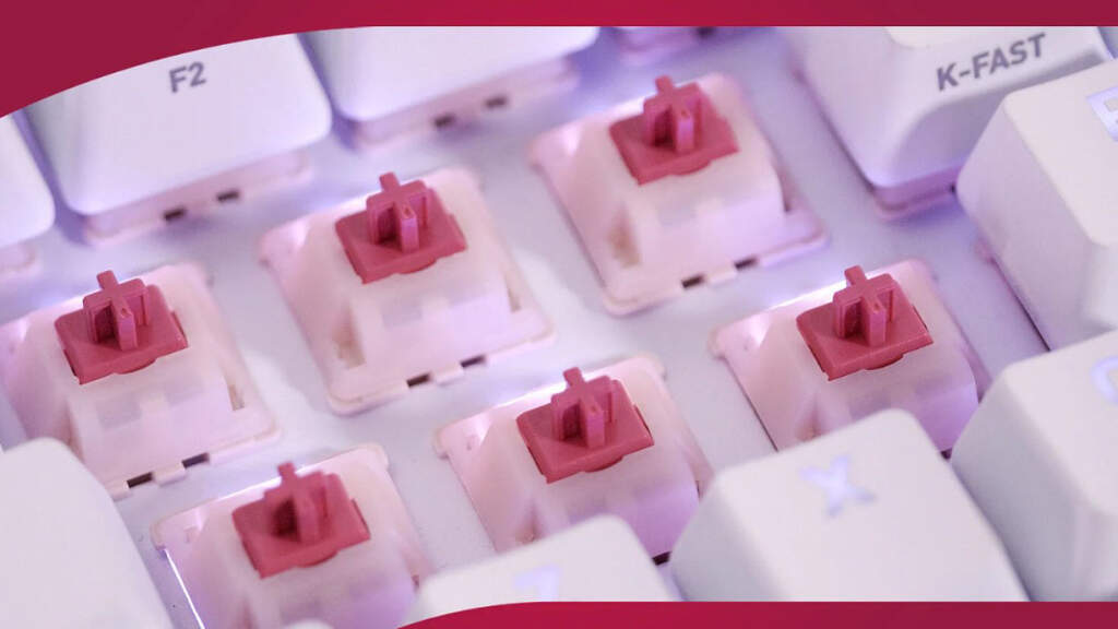 Cherry Xtrfy switches