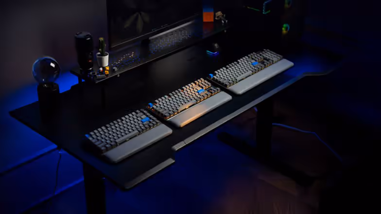 ENDORFY Thock 75% Palm Rest V2 : un repose poignets premium pour un confort durable 8 Repose poignets ENDORFY Thock 75% Palm Rest V2 compatibilité