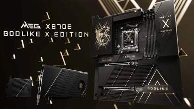 MEG X870E GODLIKE X EDITION 10 Years