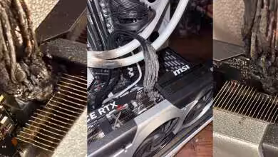 Carte RTX 5090 montrant un câble d'alimentation 16 broches brûlé et des traces de combustion autour du connecteur.