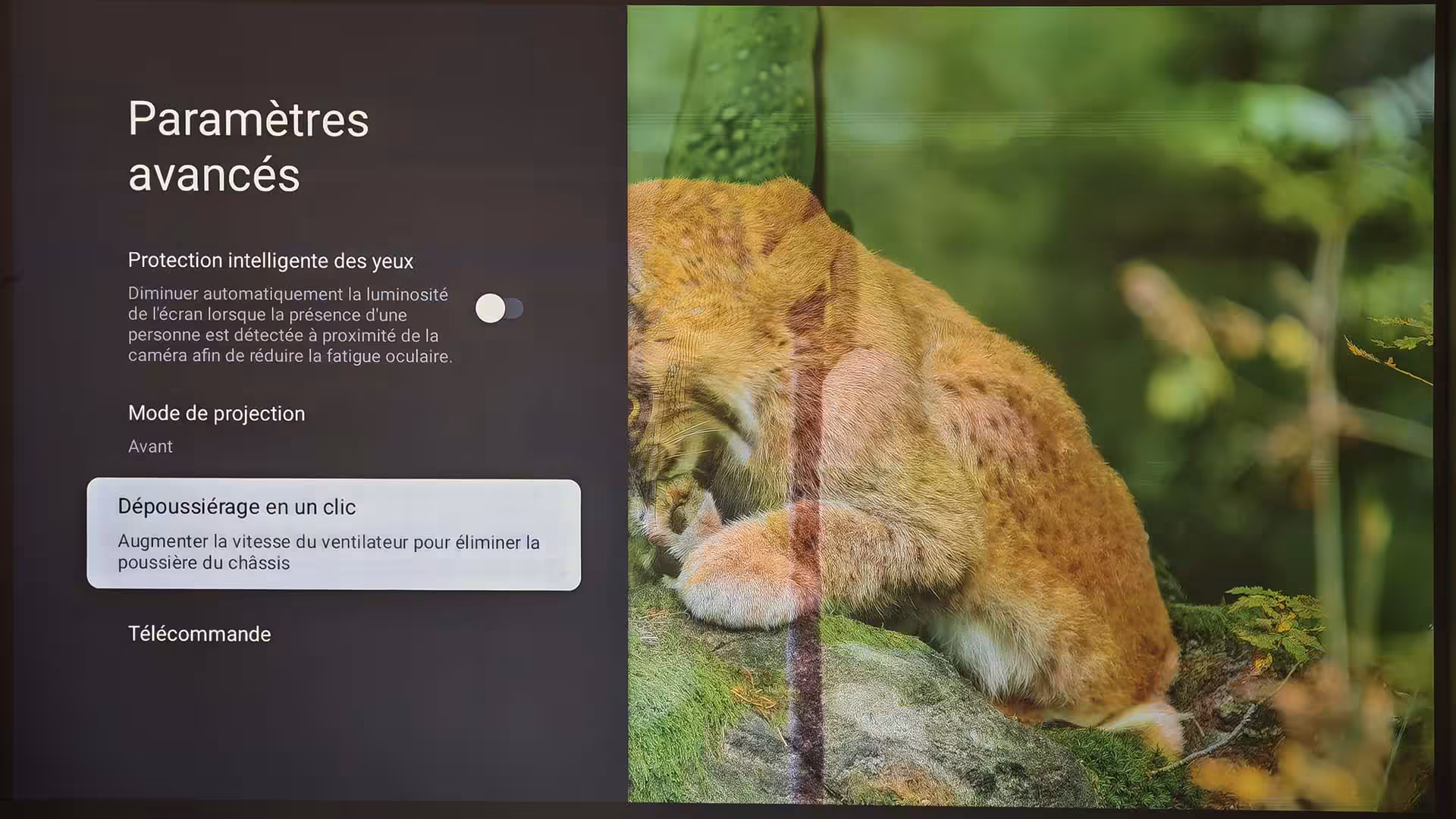 dangbei dbox02 avancés