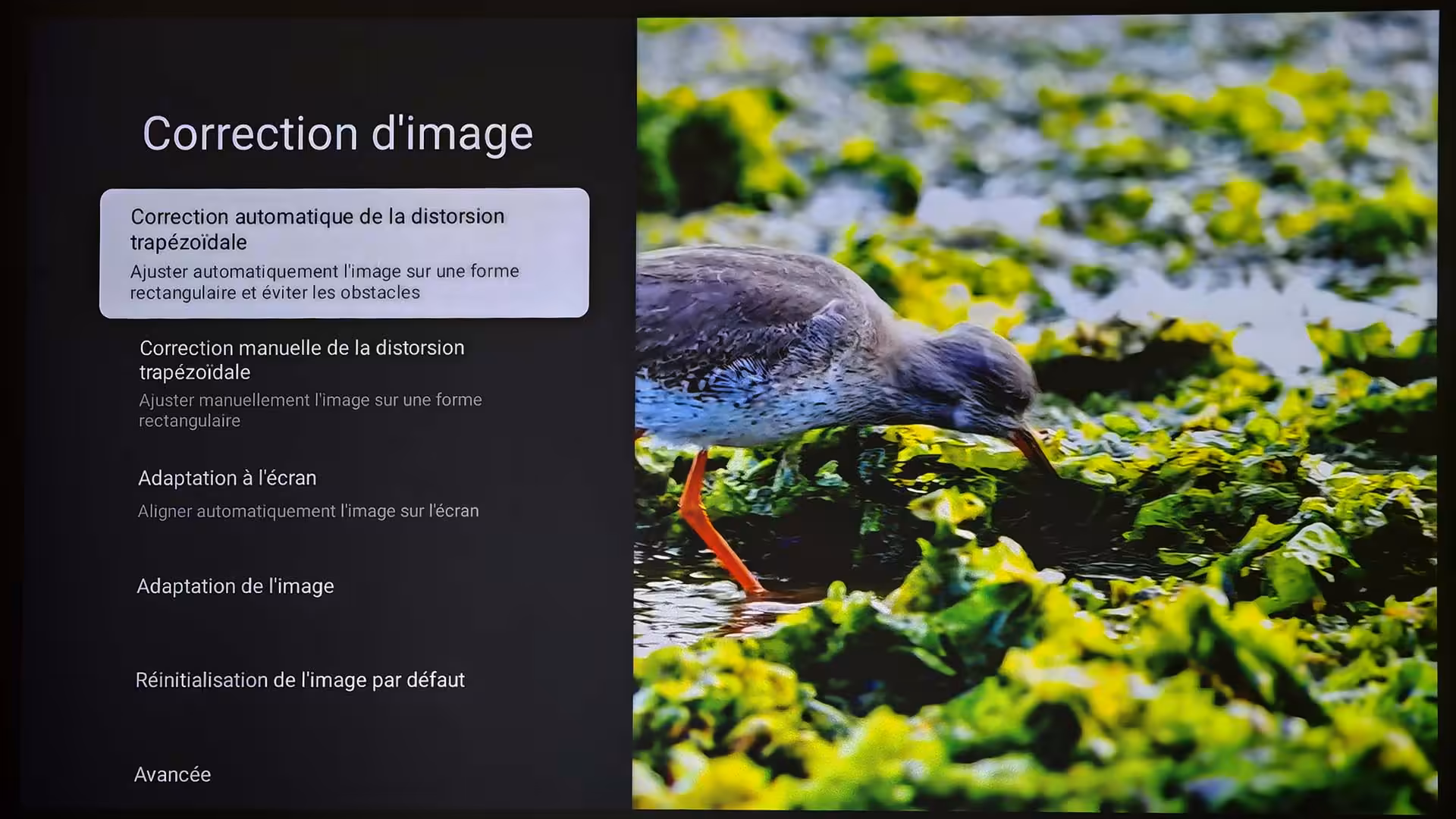 dangbei dbox02 distorsion auto
