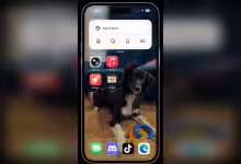 iPhone avec écran d'accueil affichant des applications, fond d'écran avec chien et jouet coloré.