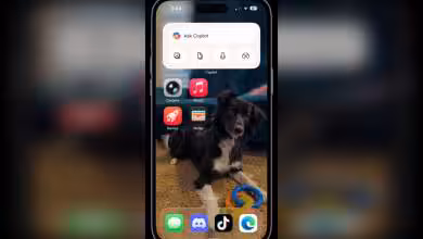 iPhone avec écran d'accueil affichant des applications, fond d'écran avec chien et jouet coloré.