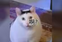 Mixtral vs DeepSeek-V3 : même architecture MoE ou rupture réelle ?