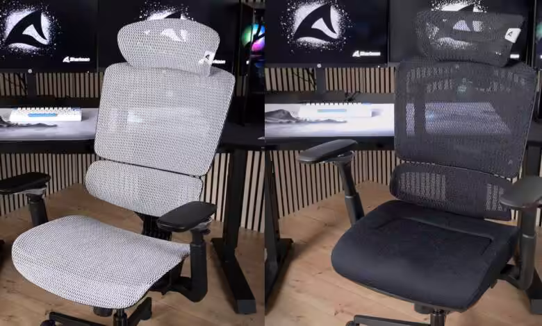 Sharkoon OfficePal C50/C50M : deux chaises mesh à 299,90 € avec 5D et appuis réglables 1 Chaises Sharkoon OfficePal C50 et C50M en mesh noir et blanc