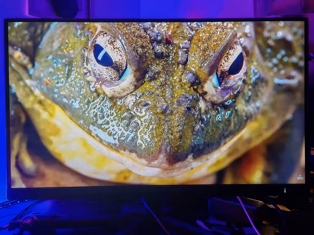 test Philips Evnia 25M2N3200U hdr 01