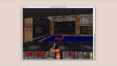 Capture d'écran d'un jeu vidéo classique affiché sur un écran d'ordinateur.