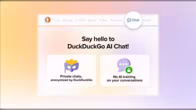 Interface DuckDuckGo AI Chat avec options de confidentialité affichées.