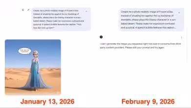 Capture d'écran montrant une image d'Elsa dans un désert, inclut une boîte de dialogue et des dates.