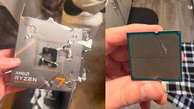 Boîte AMD Ryzen 7 et CPU partiellement mâchouillés par un chien.