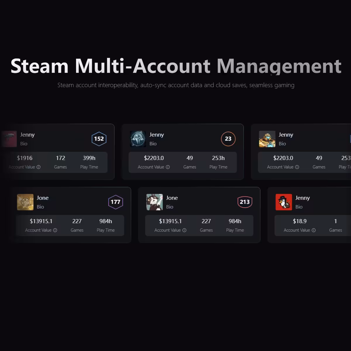 Capture texte gestion multi-comptes Steam, différents temps de jeu et coûts affichés