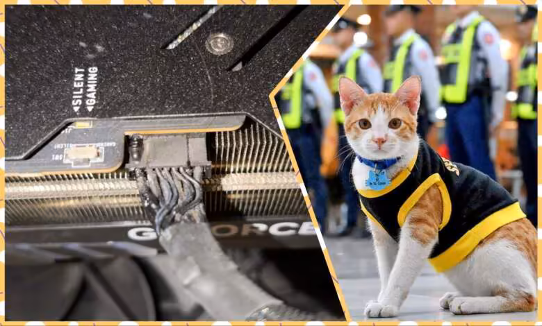 RTX 4090 MSI : nouveau connecteur 12VHPWR brûlé, un chat alerte son propriétaire 1 nouveau connecteur 12VHPWR brûlé un chat alerte son propriétaire