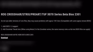 Capture texte BIOS bêta ASUS X870 avec support AMD EXPO 1.2 et précautions versions CMO.