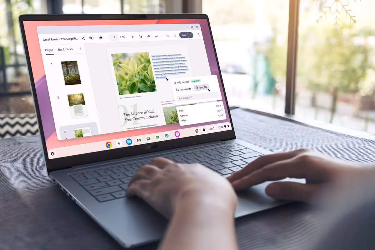 Personne utilisant un ASUS Chromebook sur une table près d'une fenêtre.