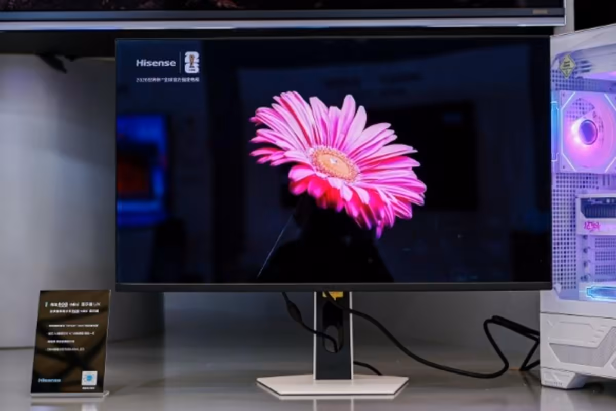 Moniteur Hisense avec marguerite rose affichée, fond peu contrasté et sombre.