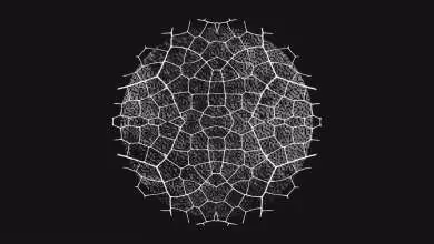 Illustration en filigrane d'une forme sphérique complexe sur fond noir.