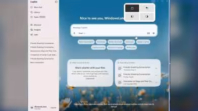 Fenêtre Copilot Windows 11 avec barre latérale, suggestions et carte de conversation