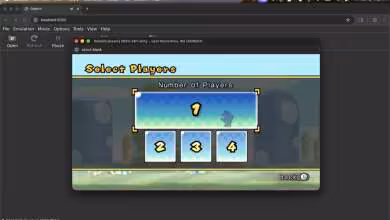 Capture d'écran Dolphin émulateur jeu Wii avec sélection du nombre de joueurs sur MacOS.