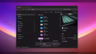 Capture d'écran de l'explorateur de fichiers Windows avec fenêtre affichant des dossiers et fichiers.