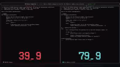 Interface de programmation en Python affichant la vitesse de traitement MTP.