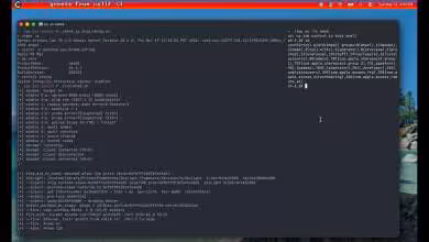Terminal affichant un shell root sur macOS 26.4.1 sur un Apple Silicon, ligne de commande active.