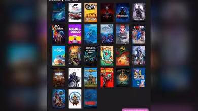Capture Steam Deck Verified avec grille de jeux, couverture Forza Horizon et Subnautica visibles