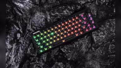 Clavier mécanique noir compact RGB arc-en-ciel, format 65 %, posé sur roche sombre
