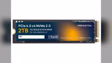 SSD M.2 Princeton PHD-ISM2G4DG-2T PCIe 4.0 x4 NVMe 2.0, 2TB, vue de dessus du module