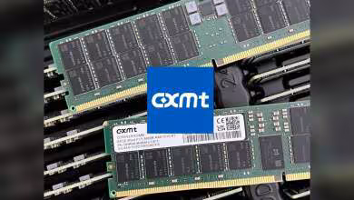 Modules mémoire serveur DDR5 CXMT verts avec puces noires et logo CXMT bleu au centre