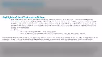 Capture détail allocations mémoire GPU Intel Arc Pro piloté sous Windows et Linux