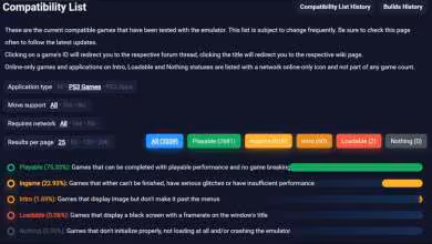 Capture liste compatibilité jeux PS3 avec émulateur RPCS3, détails statuts Playable, Ingame, Loadable.