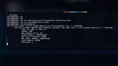 Capture écran terminal Linux détails système AMD deck PS5 APU