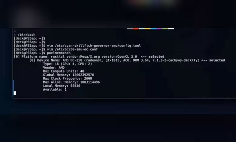 BC-250 : ce PC Linux à APU de PS5 débloque 40 CU RDNA 2 pour environ 250 $ 1 Capture écran terminal Linux détails système AMD deck PS5 APU