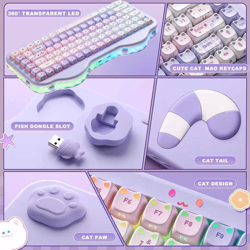 Montage du YUNZII C75 avec LED transparente 360°, keycaps chat MAO, slot dongle et touche cat paw