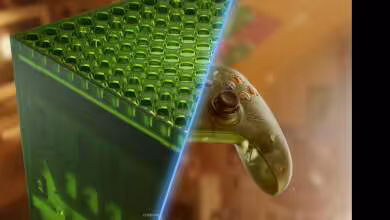 Xbox Series X25 launches on Black Friday