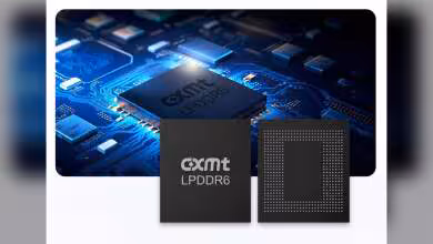 Puce mémoire CXMT LPDDR6 noire avec grille de contacts et circuit imprimé bleu en arrière-plan