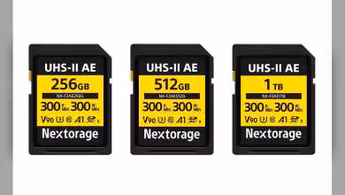 Trois cartes SDXC Nextorage UHS-II AE, modèles 256GB, 512GB et 1TB, avec vitesse 300 MB/s.
