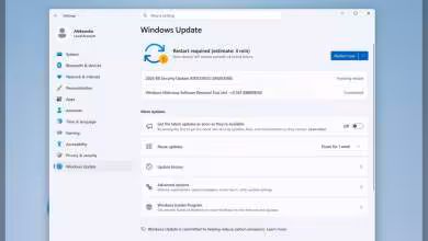 Fenêtre Windows 11 Settings sur Windows Update, mise à jour en attente avec bouton Restart now visible