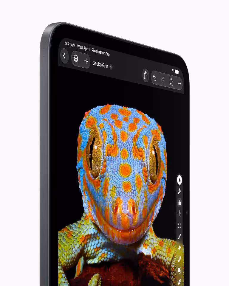 iPad mini : écran OLED 8,5 pouces, puce A20 Pro en 2 nm et certification IP67 10 iPad mini Apple affichant une illustration détaillée de gecko dans une application de création