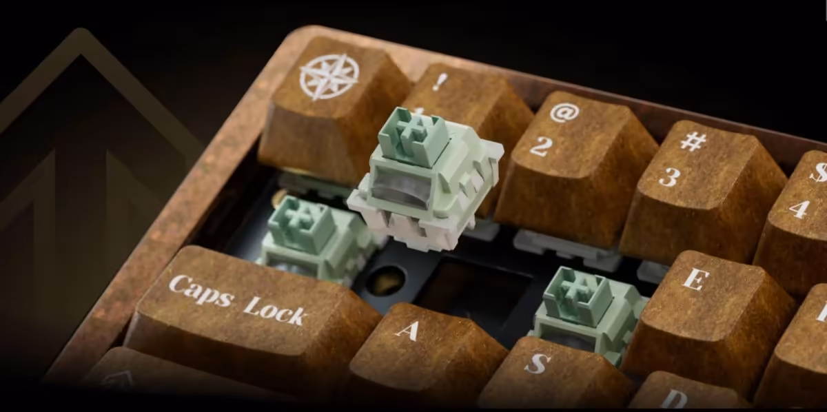 Keychron Q19 HE 8K : un clavier magnétique 60 % taillé dans l’aluminium 7 Gros plan sur les switches magnétiques verts installés dans le clavier Keychron Q19 HE